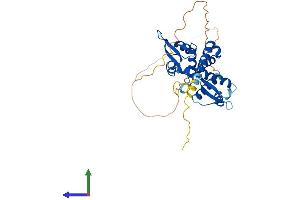 AlphaFold protein structure predicition of Human Recombinant MAGEB3 Protein, UniprotID O15480 (MAGEB3 Protein (AA 1-346) (His tag))
