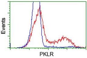 HEK293T cells transfected with either RC206455 overexpress plasmid (Red) or empty vector control plasmid (Blue) were immunostained by anti-PKLR antibody (ABIN2453473), and then analyzed by flow cytometry. (PKLR antibody)