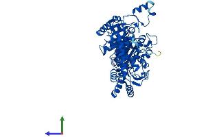 AlphaFold protein structure predicition of Mouse Recombinant Hacl1 Protein, UniprotID Q9QXE0