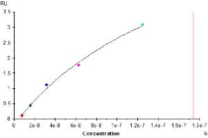 Human Nectin-4, hFc Tag captured on Protein A chip, can bind Human Nectin-1, His Tag with an affinity constant of 0. (PVRL1 Protein (AA 31-334) (His-Avi Tag))