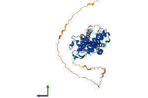 AlphaFold protein structure predicition of Human Recombinant NR1H2 Protein, UniprotID P55055 (NR1H2 Protein (AA 1-460) (His tag))