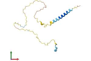 AlphaFold protein structure predicition of Mouse Recombinant Gapt Protein, UniprotID Q8CB93
