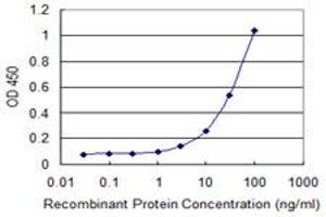 Detection limit for recombinant GST tagged ABCG1 is 1 ng/ml as a capture antibody. (ABCG1 antibody  (AA 21-130))