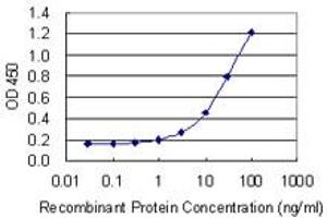 Detection limit for recombinant GST tagged CA6 is 0. (CA6 antibody  (AA 209-308))