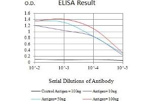 Black line: Control Antigen (100 ng),Purple line: Antigen (10 ng), Blue line: Antigen (50 ng), Red line:Antigen (100 ng) (NEFH antibody  (AA 2-251))