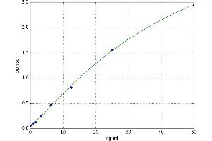 Solute Carrier Family 2 (Facilitated Glucose Transporter), Member 2 (SLC2A2) ELISA Kit