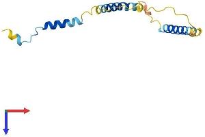 AlphaFold protein structure predicition of Human Recombinant EEF1DP3 Protein, UniprotID Q658K8 (EEF1DP3 Protein (AA 1-133) (His tag))