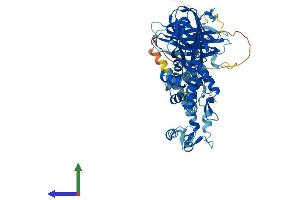 AlphaFold protein structure predicition of Human Recombinant EFCAB7 Protein, UniprotID A8K855