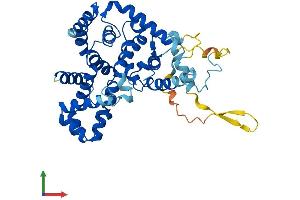 Protein Structure (PS) image for TBC1 Domain Family, Member 13 (TBC1D13) (AA 1-400) protein (His tag) (ABIN7544234)