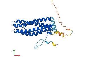 AlphaFold protein structure predicition of Mouse Recombinant Scamp4 Protein, UniprotID Q9JKV5