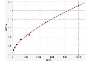 Typical standard curve (LELP1 ELISA Kit)