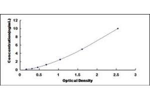 CPA3 ELISA Kit