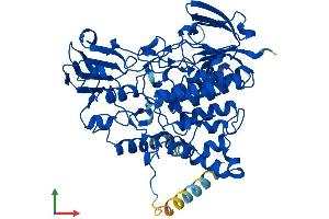 Protein Structure (PS) image for Flavin Containing Monooxygenase 5 (FMO5) (AA 1-533) protein (His tag) (ABIN7556837)