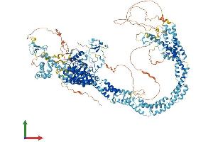 Protein Structure (PS) image for Lysine (K)-Specific Demethylase 5B (KDM5B) (AA 1-1544) protein (His tag) (ABIN7564294)
