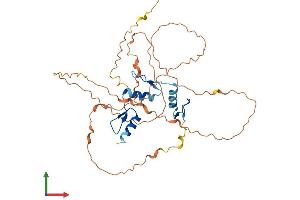 AlphaFold protein structure predicition of Human Recombinant KLF3 Protein, UniprotID P57682