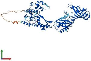 Protein Structure (PS) image for Pseudouridylate Synthase 10 (PUS10) (AA 1-529) protein (His tag) (ABIN7551112)