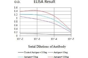 Black line: Control Antigen (100 ng),Purple line: Antigen (10 ng), Blue line: Antigen (50 ng), Red line:Antigen (100 ng) (PMS2 antibody  (AA 748-851))
