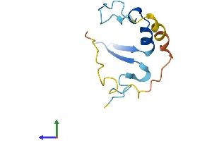Protein Structure (PS) image for Eukaryotic Translation Initiation Factor 4E Binding Protein 3 (EIF4EBP3) (AA 1-101) protein (His tag) (ABIN7558372)