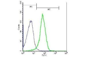 Mouse splenocytes probed with Rabbit Anti-IL-27RA Polyclonal Antibody, Unconjugated . (IL27 Receptor alpha antibody  (AA 21-120))