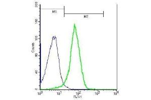 Mouse splenocytes probed with Rabbit Anti-IL-27RA Polyclonal Antibody, Unconjugated . (IL27 Receptor alpha antibody  (AA 21-120))