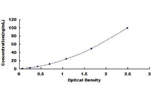 Typical standard curve (ICAM1 ELISA Kit)