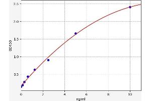 FPGS ELISA Kit