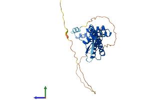 AlphaFold protein structure predicition of Mouse Recombinant Ttc1 Protein, UniprotID Q91Z38