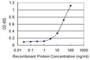 Detection limit for recombinant GST tagged RCN1 is 1 ng/ml as a capture antibody. (RCN1 antibody  (AA 31-331))