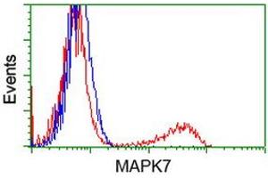 HEK293T cells transfected with either RC203506 overexpress plasmid (Red) or empty vector control plasmid (Blue) were immunostained by anti-MAPK7 antibody (ABIN2454064), and then analyzed by flow cytometry. (MAPK7 antibody)