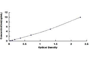 Typical standard curve (KYNU ELISA Kit)