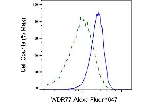 Validation of WDR77 knockdown using flow cytometry. (WDR77 antibody)