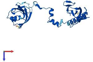 Protein Structure (PS) image for Tubulin Folding Cofactor B (TBCB) (AA 1-244) protein (His tag) (ABIN7544238)
