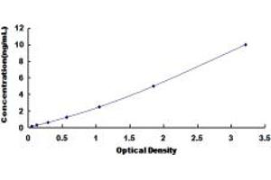 Typical standard curve (GOT1 ELISA Kit)