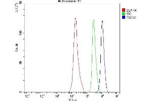 Flow Cytometry analysis of SH-SY5Y cells using anti-PROX1 antibody (ABIN7601937).