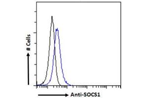 ABIN184575 Flow cytometric analysis of paraformaldehyde fixed HEK293 cells (blue line), permeabilized with 0. (SOCS1 antibody  (C-Term))