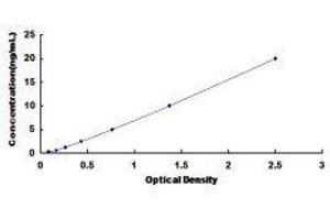 Zona Pellucida Glycoprotein 2 (ZP2) ELISA Kit