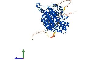 AlphaFold protein structure predicition of Mouse Recombinant Dpysl2 Protein, UniprotID O08553