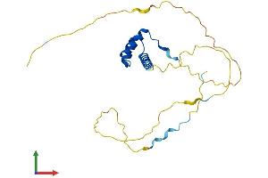 AlphaFold protein structure predicition of Mouse Recombinant Prop1 Protein, UniprotID P97458 (PROP1 Protein (AA 1-223) (His tag))