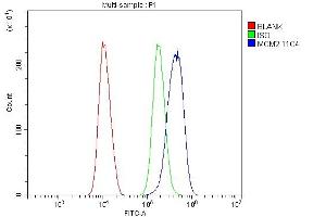 anti-Minichromosome Maintenance Complex Component 2 (MCM2) (AA 393-850) antibody