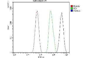 Flow Cytometry analysis of U87 cells using anti-PSMB5/MB1 antibody (ABIN7599183).