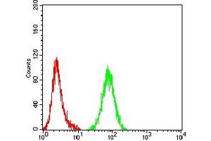 Flow cytometric analysis of Hela cells using DFFB mouse mAb (green) and negative control (red). (DFFB antibody  (AA 1-289))