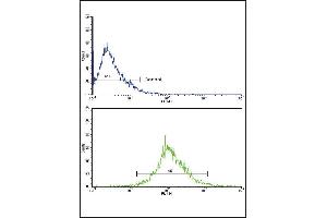 Flow cytometric analysis of HepG2 cells using CATB Antibody (Center)(bottom histogram) compared to a negative control cell (top histogram). (Tyrosinase-Related Protein 1 antibody  (AA 198-227))