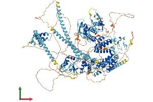 Protein Structure (PS) image for Bromodomain Adjacent To Zinc Finger Domain, 1B (BAZ1B) (AA 1-1479) protein (His tag) (ABIN7565291)