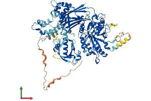 Protein Structure (PS) image for Phospholipase C delta 3 (PLCd3) (AA 1-789) protein (His tag) (ABIN7554947)