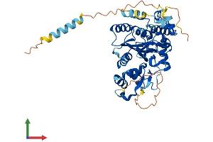AlphaFold protein structure predicition of Human Recombinant GCNT7 Protein, UniprotID Q6ZNI0