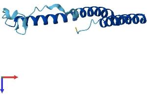 AlphaFold protein structure predicition of Human Recombinant MT-ND3 Protein, UniprotID P03897 (MT-ND3 Protein (AA 1-115) (His tag))
