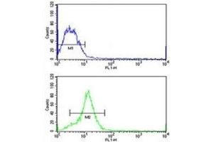 HMGA1 antibody flow cytometric analysis of MCF-7 cells (green) compared to a negative control (blue). (HMGA1 antibody  (AA 64-93))
