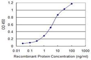 Detection limit for recombinant GST tagged SERBP1 is 0. (SERBP1 antibody  (AA 1-402))