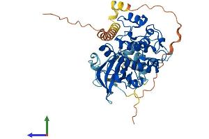 AlphaFold protein structure predicition of Human Recombinant SGK1 Protein, UniprotID O00141 (SGK1 Protein (AA 1-431) (His tag))