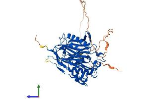 AlphaFold protein structure predicition of Human Recombinant NOCT Protein, UniprotID Q9UK39